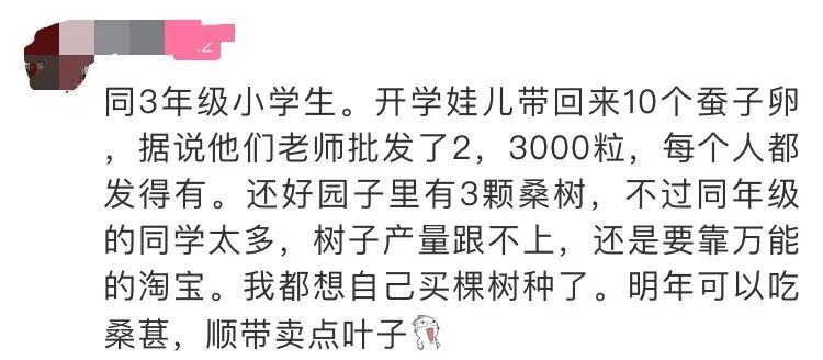 当代家长养蚕图鉴：10条蚕宝2500，全城桑树被薅秃？爸妈崩溃：我的软体动物恐惧症都被治好了！！！休闲区蓝鸢梦想 - Www.slyday.coM