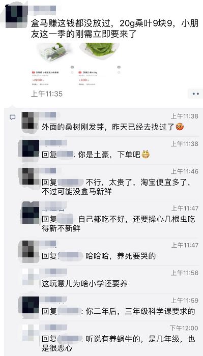 当代家长养蚕图鉴：10条蚕宝2500，全城桑树被薅秃？爸妈崩溃：我的软体动物恐惧症都被治好了！！！休闲区蓝鸢梦想 - Www.slyday.coM