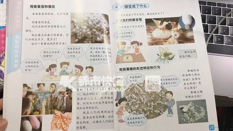 当代家长养蚕图鉴：10条蚕宝2500，全城桑树被薅秃？爸妈崩溃：我的软体动物恐惧症都被治好了！！！休闲区蓝鸢梦想 - Www.slyday.coM