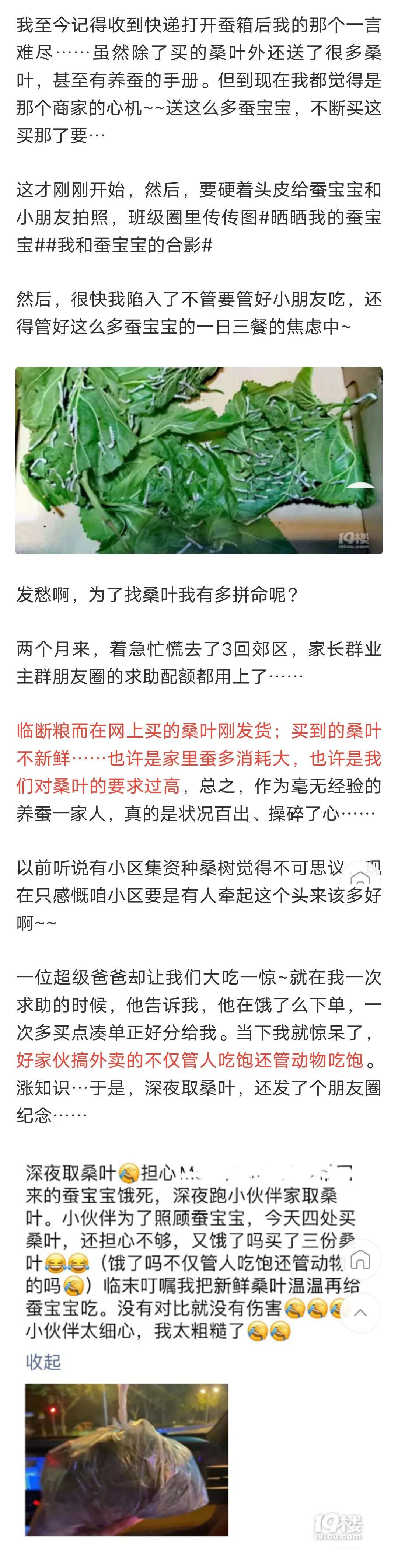 当代家长养蚕图鉴：10条蚕宝2500，全城桑树被薅秃？爸妈崩溃：我的软体动物恐惧症都被治好了！！！休闲区蓝鸢梦想 - Www.slyday.coM