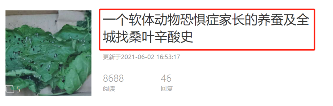 当代家长养蚕图鉴：10条蚕宝2500，全城桑树被薅秃？爸妈崩溃：我的软体动物恐惧症都被治好了！！！休闲区蓝鸢梦想 - Www.slyday.coM