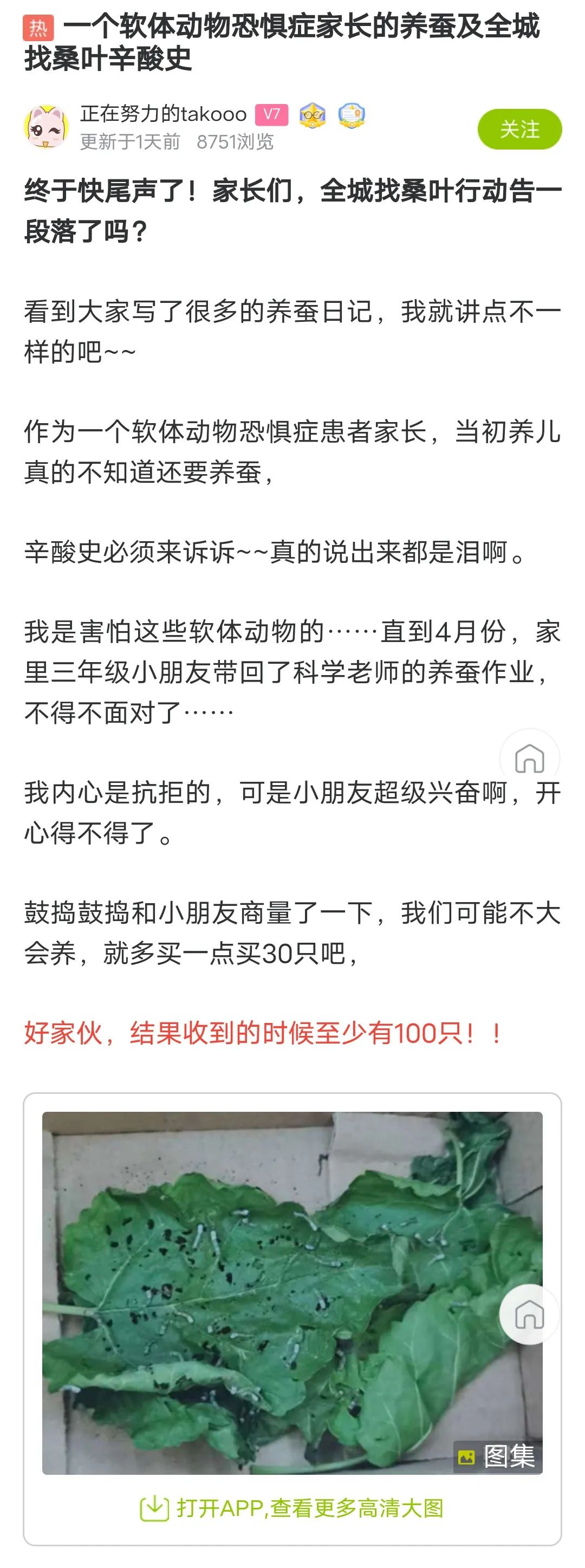 当代家长养蚕图鉴：10条蚕宝2500，全城桑树被薅秃？爸妈崩溃：我的软体动物恐惧症都被治好了！！！休闲区蓝鸢梦想 - Www.slyday.coM
