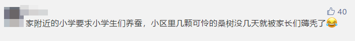 当代家长养蚕图鉴：10条蚕宝2500，全城桑树被薅秃？爸妈崩溃：我的软体动物恐惧症都被治好了！！！休闲区蓝鸢梦想 - Www.slyday.coM
