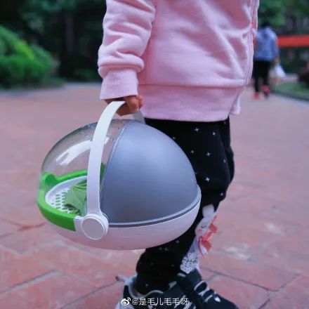 当代家长养蚕图鉴：10条蚕宝2500，全城桑树被薅秃？爸妈崩溃：我的软体动物恐惧症都被治好了！！！休闲区蓝鸢梦想 - Www.slyday.coM