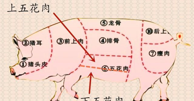 买五花肉,选上五花还是下五花?牢记3个要点,老板不敢忽悠你