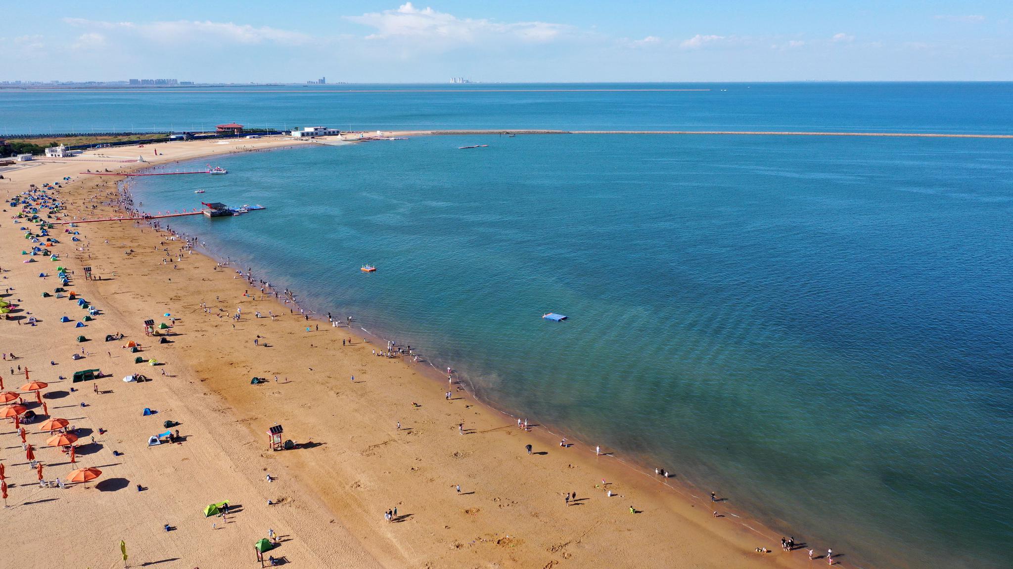 渤海治污 岸线治理 来这里也能"赶海拾贝"|滨海新区|人工沙滩|东疆