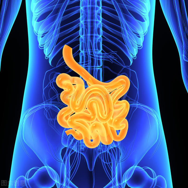 放疗后输尿管狭窄 微创小肠替换导流