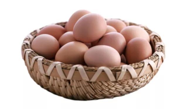 北京油鸡的鸡蛋,也是一种优良的商品北京油鸡如今已经被越来越多的