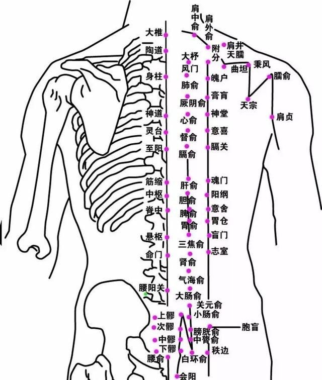 孩子尿床不可怕,中医防治有妙招|先天|遗尿|尿床_新浪新闻
