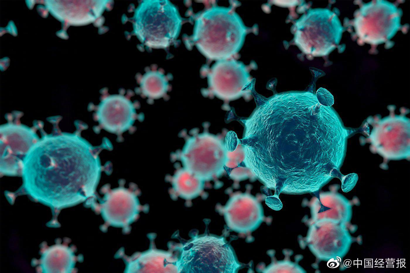 新冠全球溯源研究中国部分公布：华南海鲜市场不是疫情的发源地休闲区蓝鸢梦想 - Www.slyday.coM