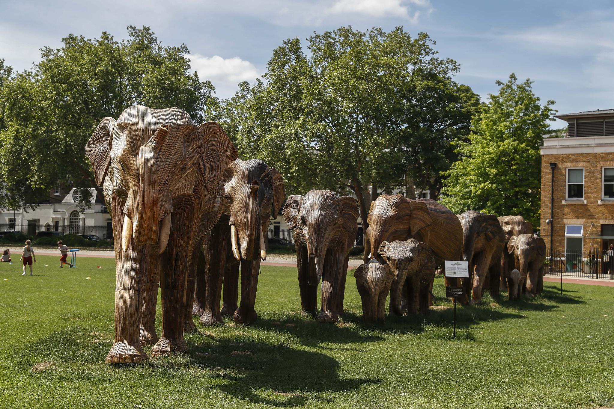 伦敦城里来了一群象