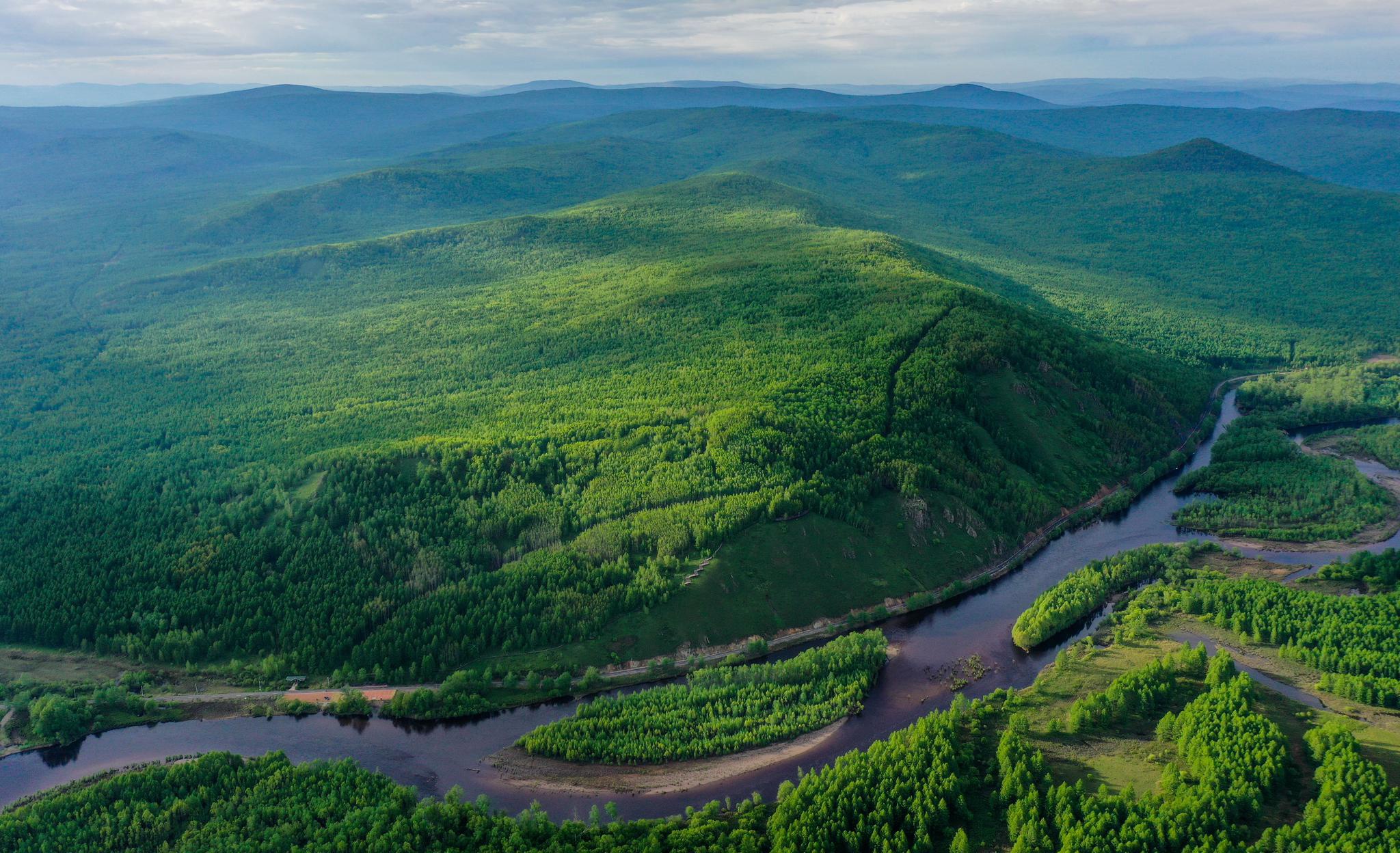 夏日林海景色美|内蒙古|河源市|大兴安岭地区_新浪新闻