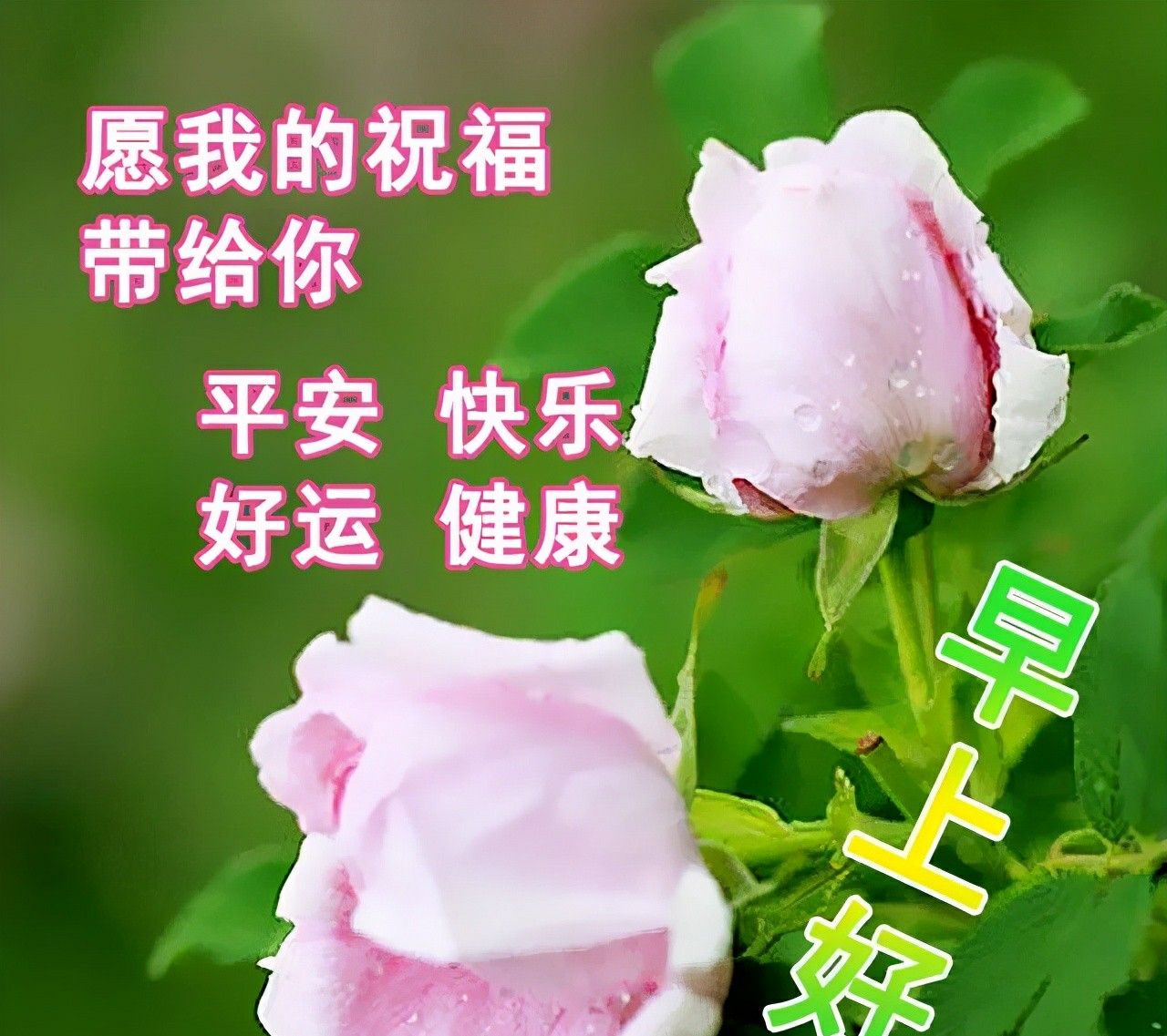 清晨温馨祝愿早上好祝福心语祝福图片