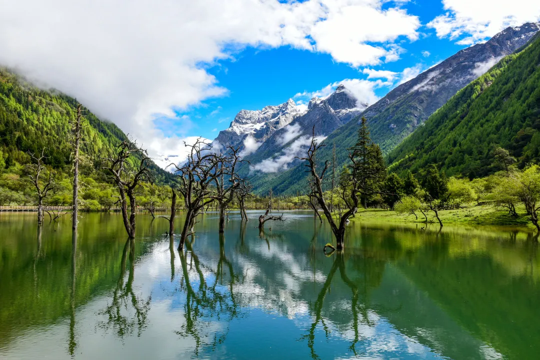 四姑娘山景区免门票啦