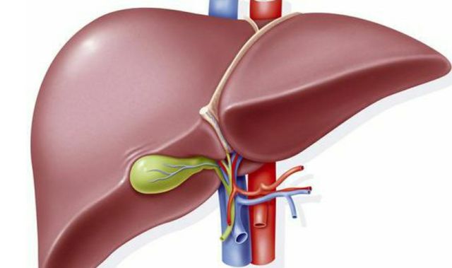 饮酒后为何不能吃头孢类药物,多长时间可以喝酒?医生为您讲清楚休闲区蓝鸢梦想 - Www.slyday.coM