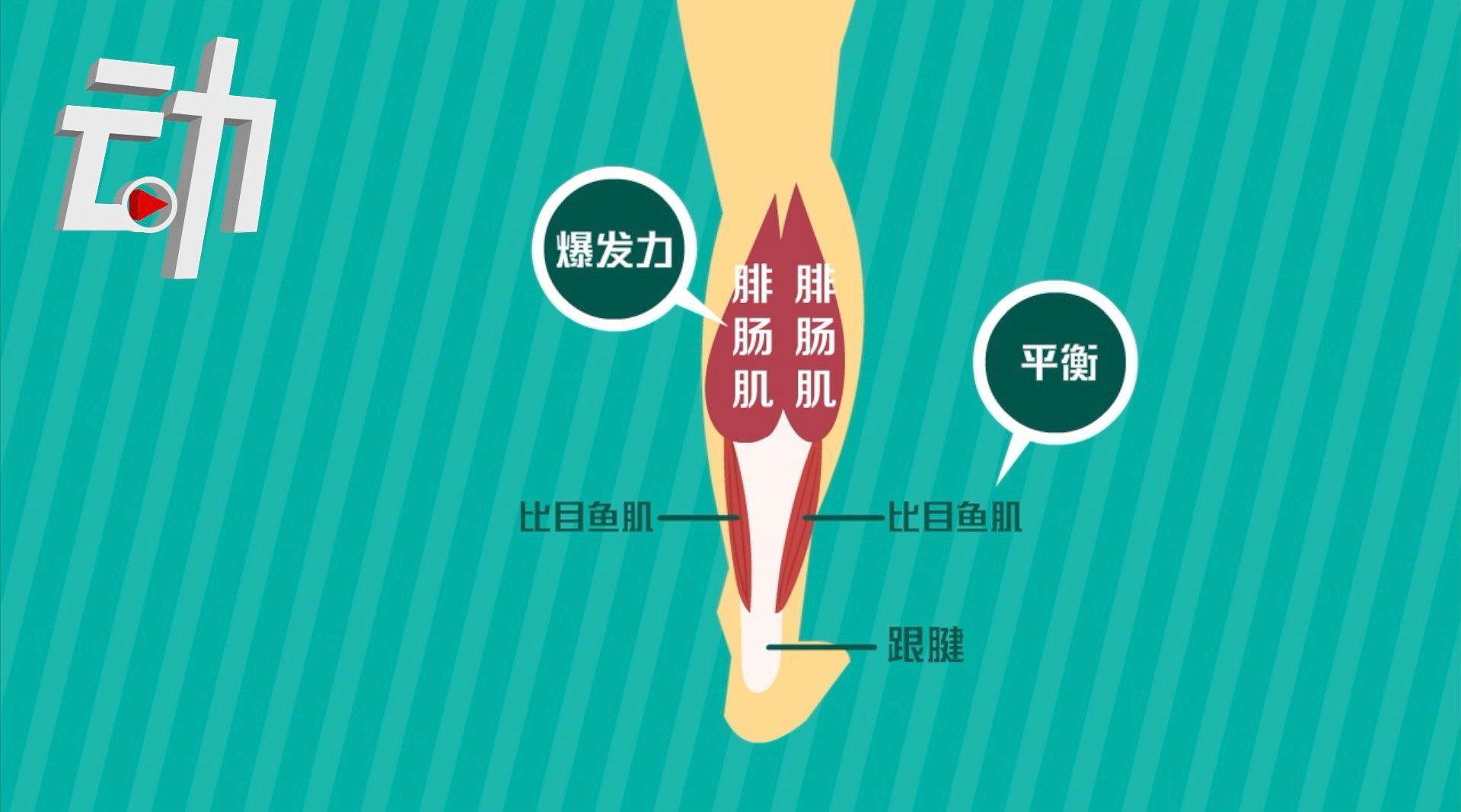小腿肌肉阻断术上热搜 为了瘦他们居然切断了自己的神经 小腿肌肉阻断术 新浪科技 新浪网