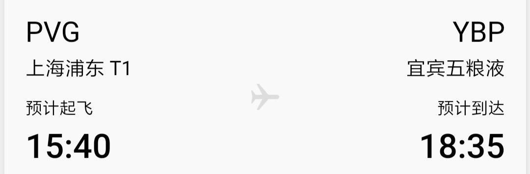 上海浦东一旅客自称是新冠患者致飞机滑出后返航 其核酸检测为阴性休闲区蓝鸢梦想 - Www.slyday.coM