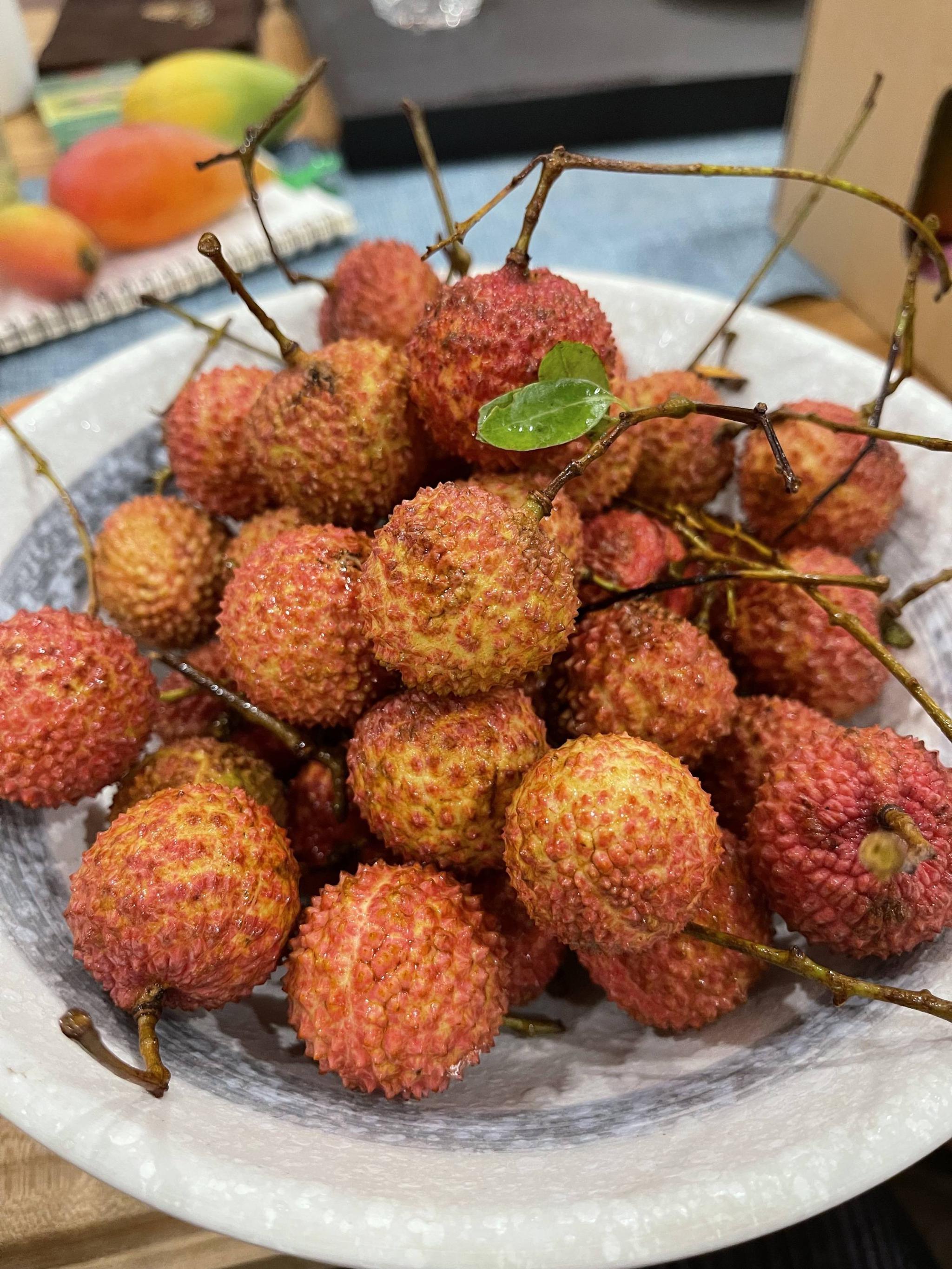 农科生活振兴乡村优品云展系列之广西玉林桂味荔枝