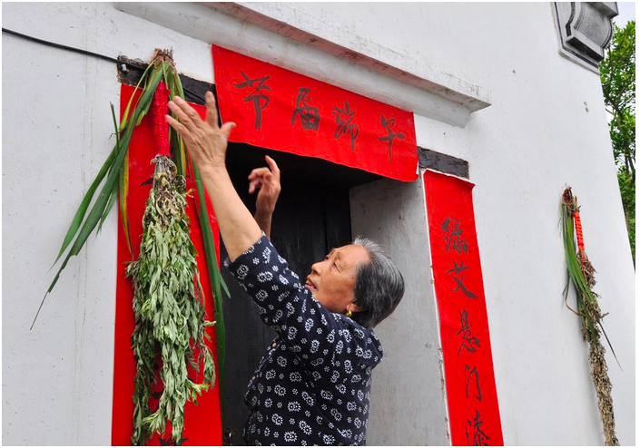 端午节插艾讲究多,老话"两不挂四讲究"分别指啥?有道理吗?