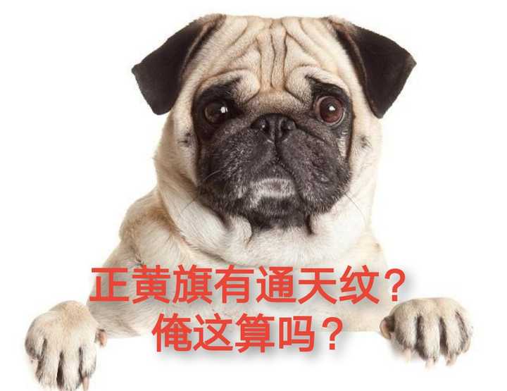 与努尔哈赤有关?她是真不懂__财经头条