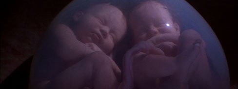 南非37岁女子生10胞胎，7男3女，此前生下一对双胞胎，高产宝妈休闲区蓝鸢梦想 - Www.slyday.coM