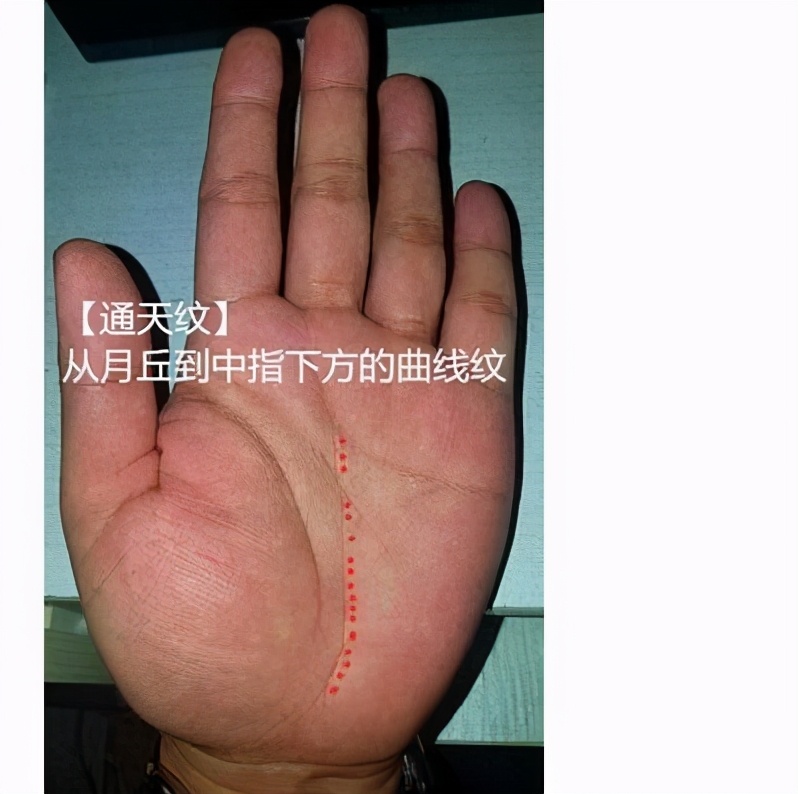 与努尔哈赤有关?她是真不懂__财经头条