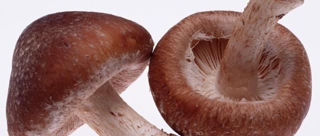 夏季端午节粽子的做法,能让端午节充满诗情画意的香菇鸡肉粽休闲区蓝鸢梦想 - Www.slyday.coM