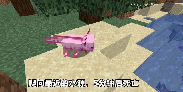 我的世界mc又多一稀有事件生成几率比粉红羊还要低