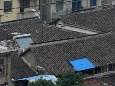 龙信集团董事长_龙信集团党建活动暨建设板块年中会议在遵义圆满举行