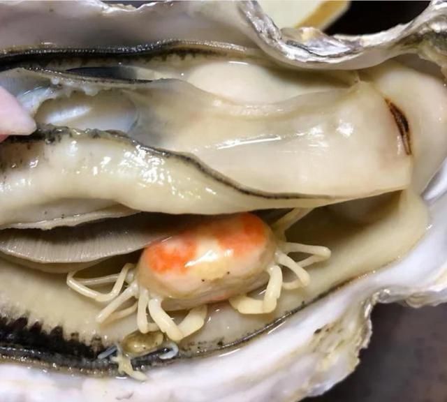 男子买生蚝吃,却在里面发现两只“小可爱”,网友:可遇而不可求休闲区蓝鸢梦想 - Www.slyday.coM 男子买生蚝吃,却在里面发现两只“小可爱”,网友:可遇而不可求休闲区蓝鸢梦想 - Www.slyday.coM