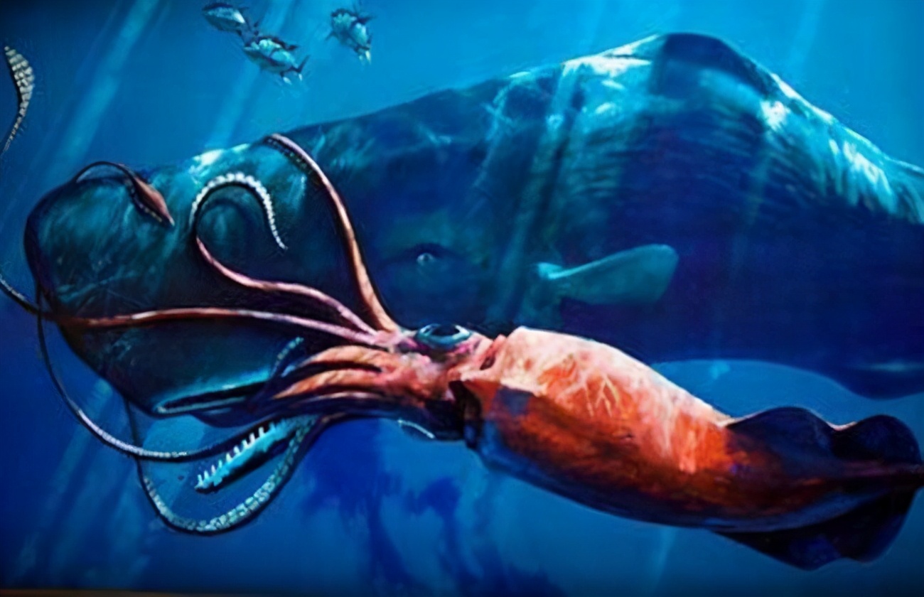 鲸鱼的肠胃于是启动了自我保护的装置,会自动分泌出一种独特的蜡状