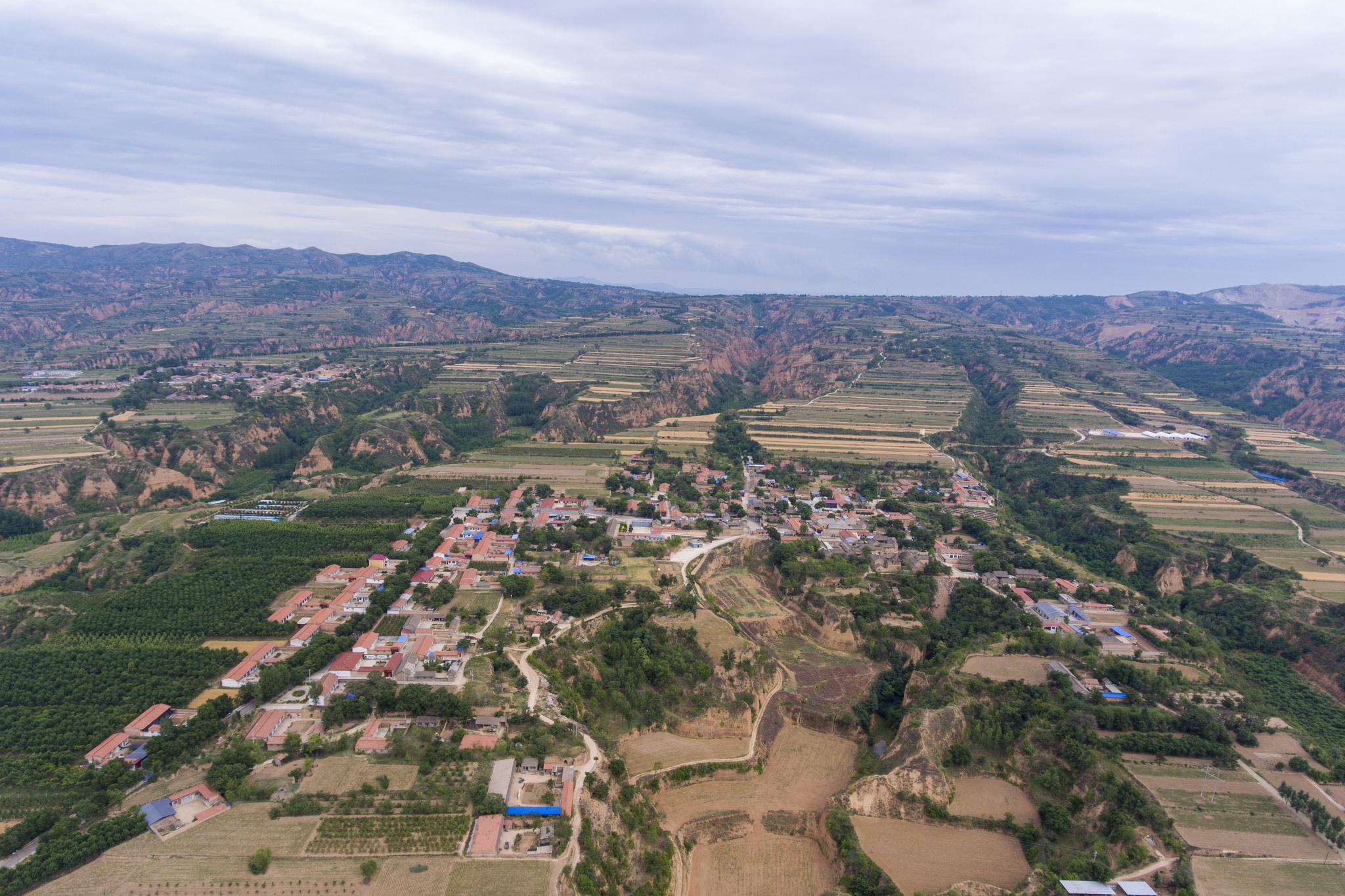 新华社记者 杨晨光 摄在浮山县东陈村,李逢华查看一处古院落内的砖雕