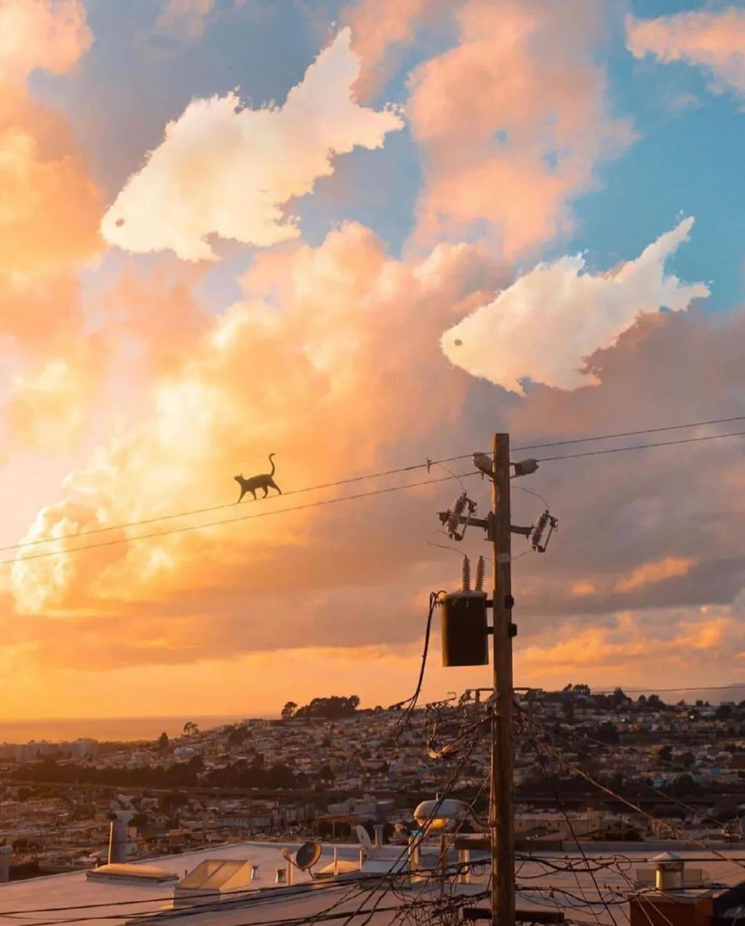 14张超现实主义照片带你进入一个梦幻般的世界仿佛穿梭时空