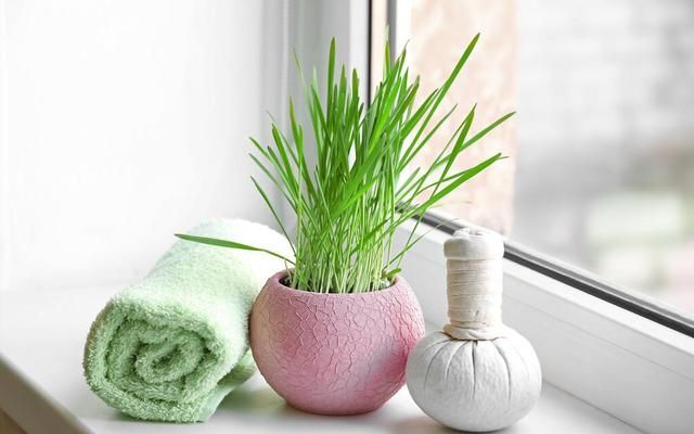 男人偷吃为什么喜欢"窝边草"?听听男人怎么说