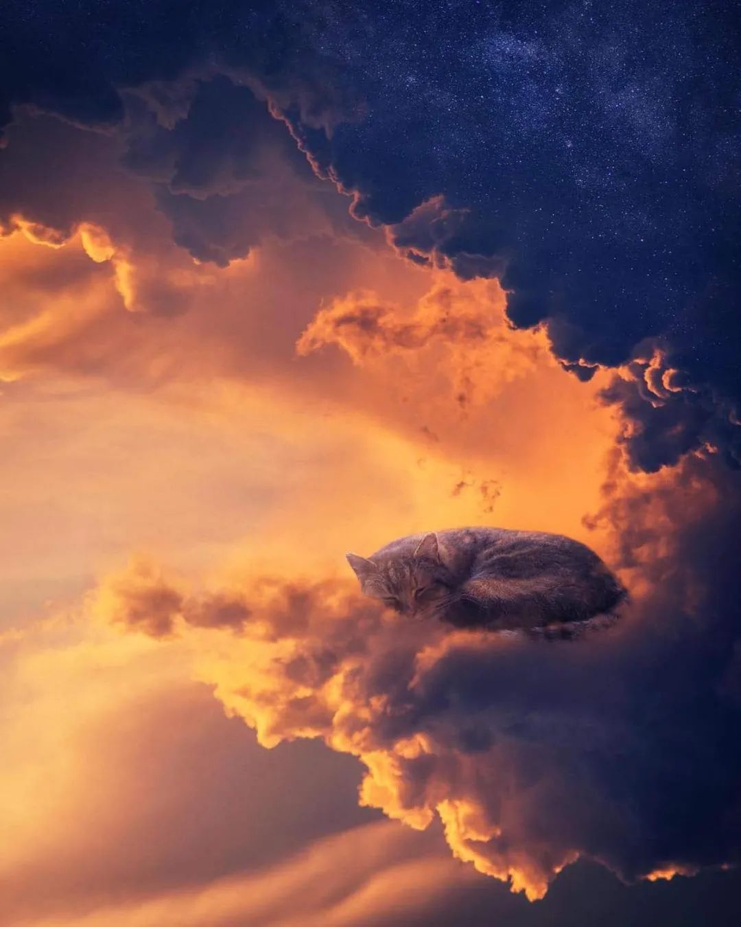 14张超现实主义照片带你进入一个梦幻般的世界仿佛穿梭时空