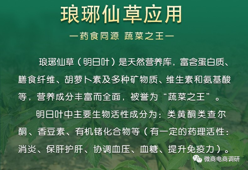 在宣传材料当中,琅琊仙草叶茶通过该产品主要成分明日叶宣传称其具有