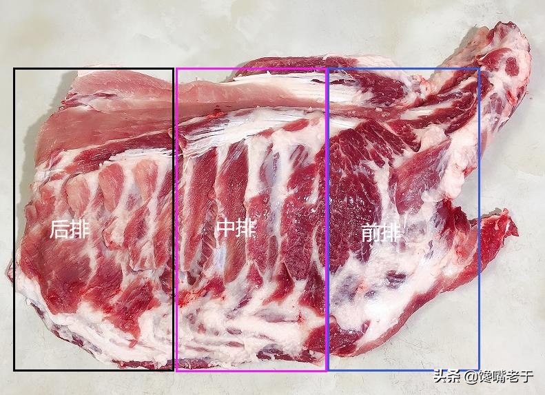 买排骨前排中排后排差别很大弄懂了少花冤枉钱