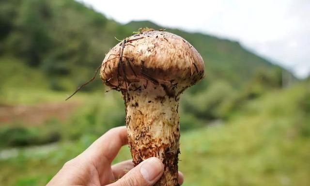 广东男子街头买生蚝,发现蚝肉下面别有洞天,网友:这是吃到宝了休闲区蓝鸢梦想 - Www.slyday.coM 广东男子街头买生蚝,发现蚝肉下面别有洞天,网友:这是吃到宝了休闲区蓝鸢梦想 - Www.slyday.coM