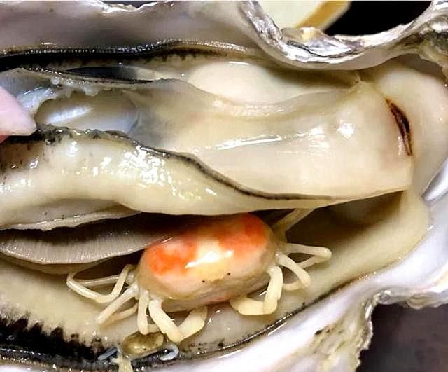 广东男子街头买生蚝,发现蚝肉下面别有洞天,网友:这是吃到宝了休闲区蓝鸢梦想 - Www.slyday.coM 广东男子街头买生蚝,发现蚝肉下面别有洞天,网友:这是吃到宝了休闲区蓝鸢梦想 - Www.slyday.coM