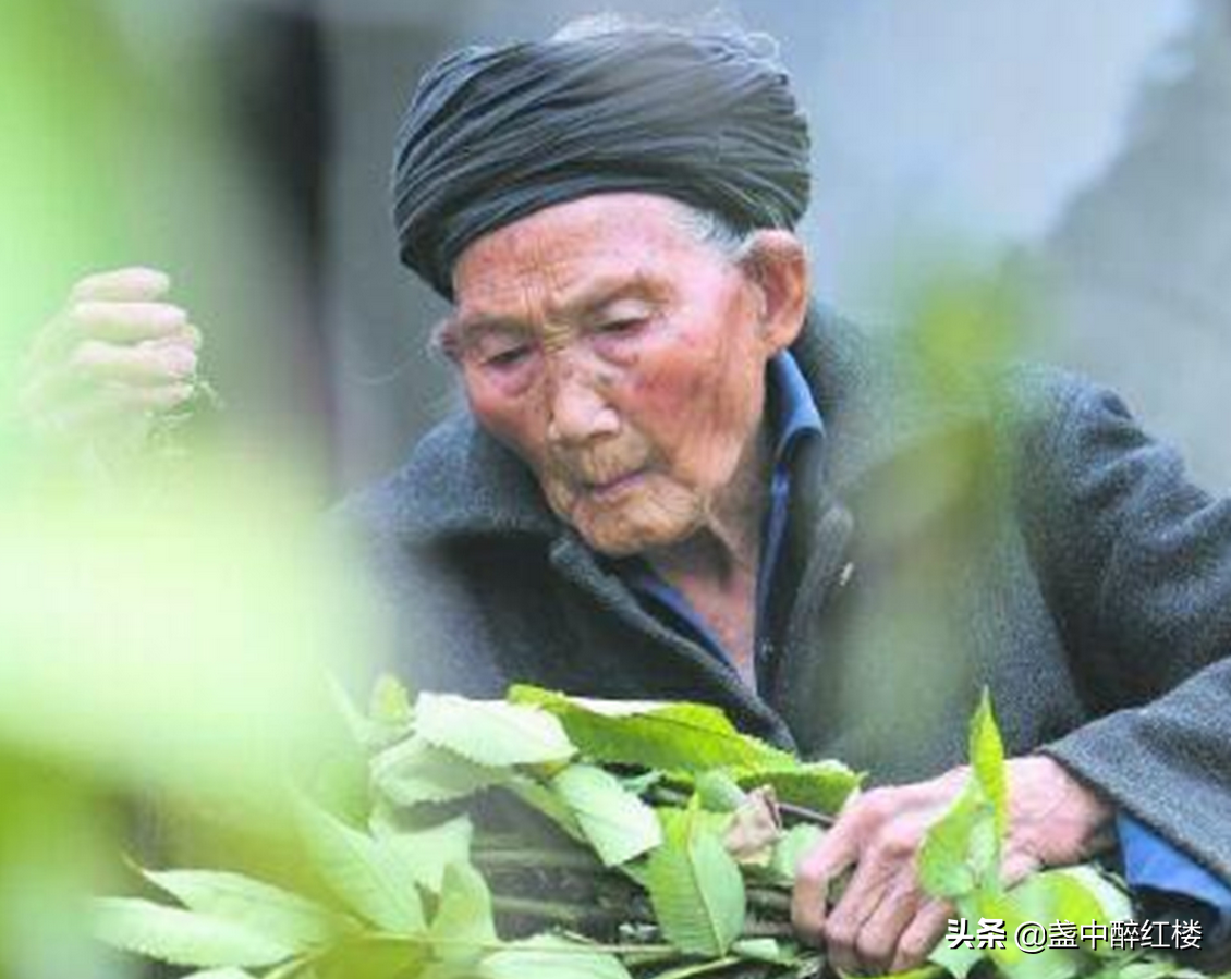 中国“长寿之王”龚来发:终身未娶寿至133岁,生前爱好很不健康