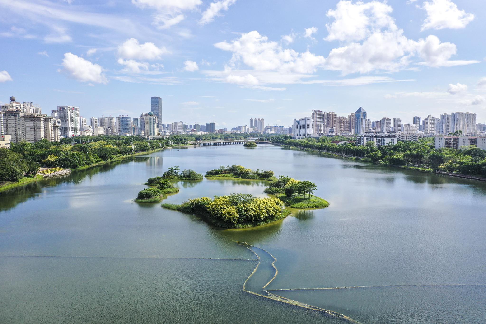 雨后城市湿地美