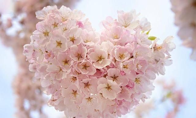 同居过的两个人,如果没了联系,还会有后来吗休闲区蓝鸢梦想 - Www.slyday.coM 同居过的两个人,如果没了联系,还会有后来吗休闲区蓝鸢梦想 - Www.slyday.coM