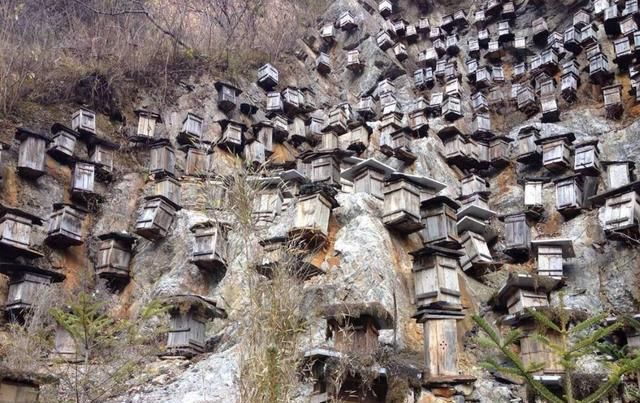 地球上还有哪些恐怖的人类禁区中国又有哪些禁区