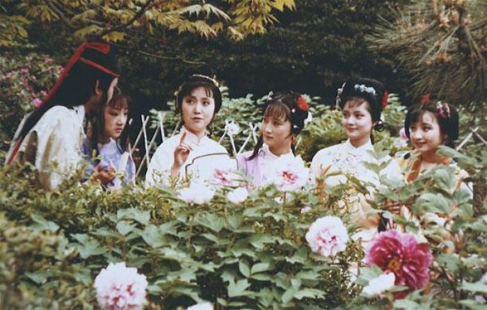 红楼梦:芒种节又叫饯花节,曹雪芹这么安排,有何用意?