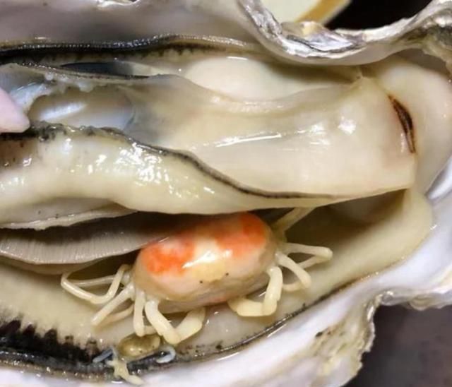 生蚝里发现两只迷你"小螃蟹",顾客想换一份竟遭老板怼,不识货