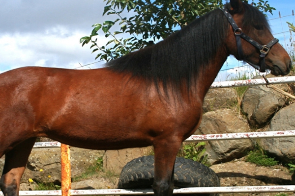 b1b1-krpikqf4067984.jpg