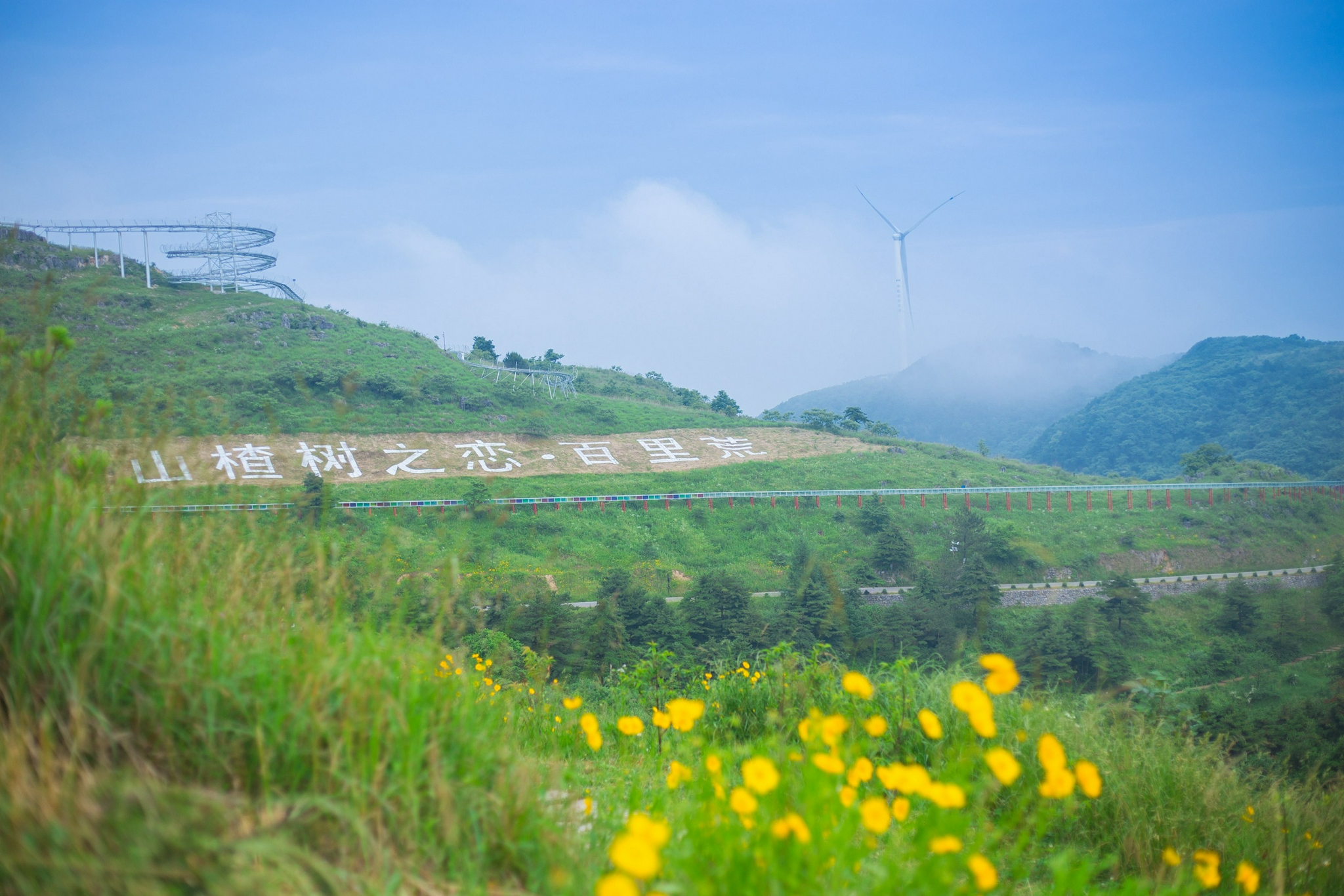 《山楂树之恋》中的山楂树和部分场景均在百里荒取景拍摄,百里荒旅游