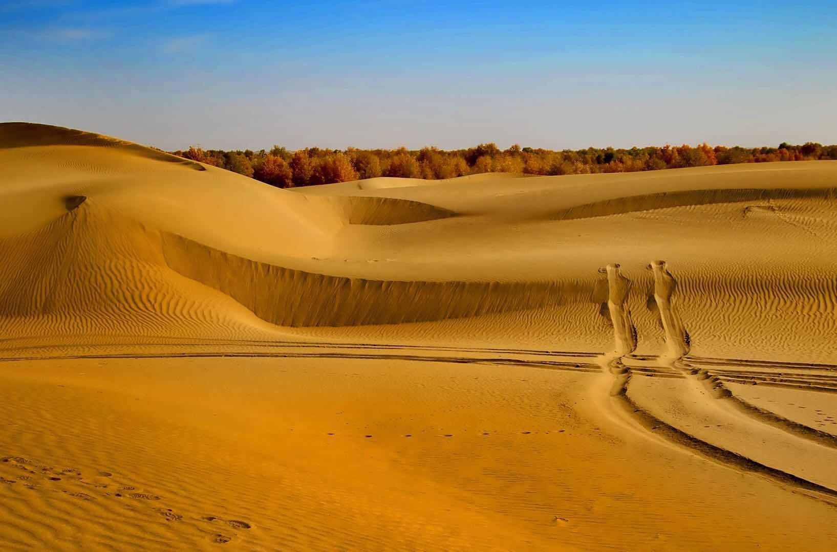 中国最大沙漠图片图片