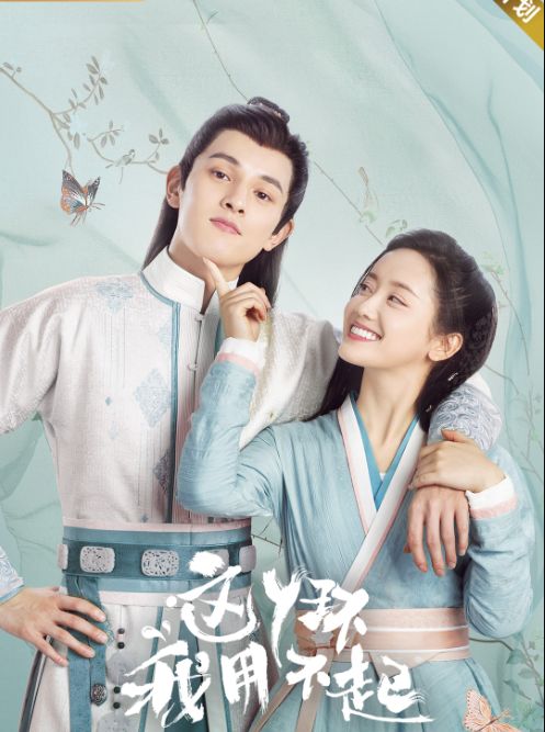 这丫环我用不起怎么样好看吗 豆瓣评分是多少收视率如何