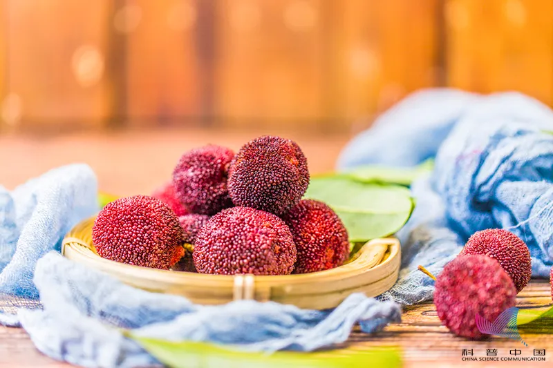 生吞近200颗杨梅核!胃里密密麻麻…男子紧急送医后竟查出恶性肿瘤休闲区蓝鸢梦想 - Www.slyday.coM